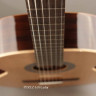 Perez 610 Cedar LTD 3/4 классическая гитара с чехлом