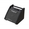 ROLAND PM-100 монитор для V-Drums 80 Вт