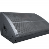 Cценический монитор Audiocenter WM210-DSP активный