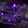 Гирлянда RICH LED RL-T20C2 / -V