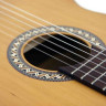 PRO ARTE GC 240 II 4/4 классическая гитара