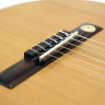 PRO ARTE GC 240 II 4/4 классическая гитара