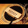 SEYMOUR DUNCAN SA-3XL Adjustable Woody звукосниматель для акустической гитары western