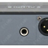 PROAUDIO DWS-807PT радиосистема с двумя петличными микрофонами и передатчиками + кейс
