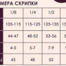 FLIGHT FV-234 3/4 скрипка комплект