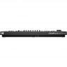 Native Instruments KOMPLETE KONTROL A49 - 49 клавишная полувзвешенная динамическая...